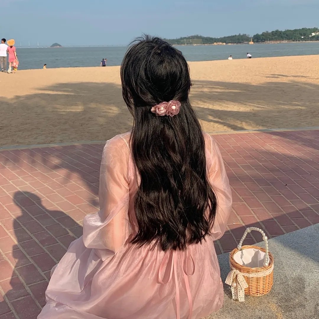 宫崎骏与苍鹭
